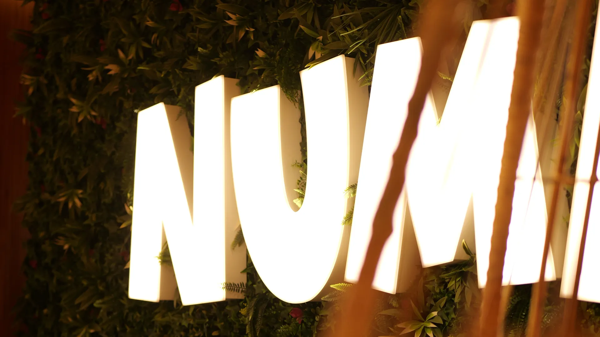 Numa universe